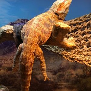 Meet your Posher, Evan